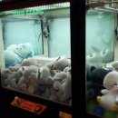 행운뽑기방 이미지