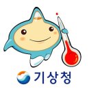 기상청 - 강릉시 | 기상청
