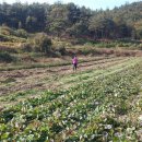 엘림농원 이미지