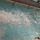 테라펜션(풀빌라) 이미지