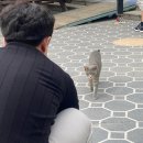 이수바다편의점