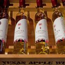 2016 광명동굴 대한민국 와인 페스티벌 이미지