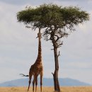 다선한의원 이미지