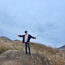 국화 | 거창 감악산 풍력단지 아스타 국화, 합천 황매산 억새 후기