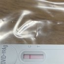 GS25 진주엠코점 이미지