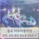 놀이발레(5～6세) | 광교 아쿠아플라넷 공연, 주차, 할인, 관람후기
