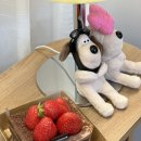 M샤워 | &#39;파티룸 유오라&#39; 브라이더 샤워 후기[내돈내산]