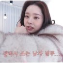 프리지아A 이미지