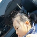 프로셀프세차타운 이미지