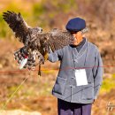 매사냥체험홍보관 이미지