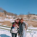 해영목장 이미지