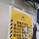 도그마캣광주상무