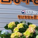 간에 좋은 굼벵이환 나이스굼! 준일농장 꽃벵이환!