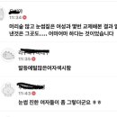 거시기머리