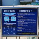 월포해수욕장야영장 이미지