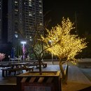 중동 중마시장 이미지