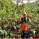 용천농원 이미지