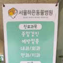 하은동물병원 - 안양시 동안구 관악대로 257 | 하은동물병원