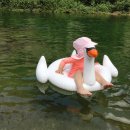 밤나무골화장실 이미지