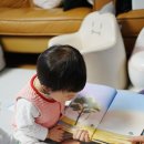 자녀에게 그림책 읽어주기 불가능은 없다 | [초등학생 선물 추천] 그림책추천 전쟁 없는 세상을...변준희 작가의 <하얀 기린, 그날 이후> 읽어본 후기