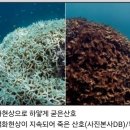 장수아로마테라피 이미지