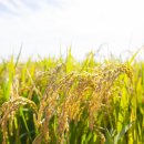 감산축산 이미지