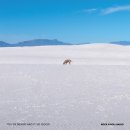 (주)팜미디어 이미지