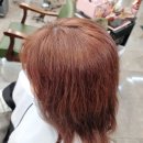 그레이스헤어금천점