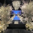 Luce | [wedding] 2024 호텔오노마 웨딩 쇼케이스 Luce Viva 후기