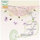 잠실에너지 이미지