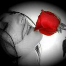 The Rose / Gary Arbuthnot Flute(게리 아부트노트) 이미지