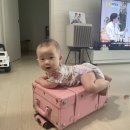 거제메모리키즈풀빌라 이미지