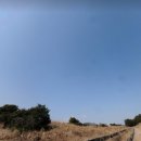 성읍리-17 이미지