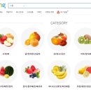 신선건어물식품