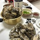 갑을목장 | 집에서 석화 찜 먹는 방법 / 쿠팡주문 신선한 여수 굴 내돈내산 후기