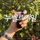 누벨르네일 - 달서구 | 대전 둔산동 네일샵 꼼꼼한 케어 [누벨르네일]