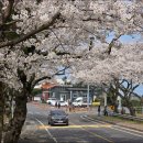 장전마을회관 내 이미지