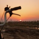 동네한바퀴 이미지