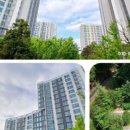 자곡공인중개사사무소 이미지