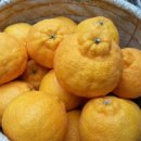 한라앤탐 이미지