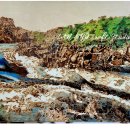 나무 이야기 우드버닝 이미지