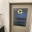 디오펫살롱 이미지