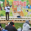 댕댕타임 | 강형욱 2025 댕댕트레킹 참여 꿀팁 정리 및 2026년 코스 정보