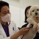 담양군반려유기동물공공진료소