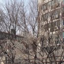 대구선반야월공원(괴전동) 이미지