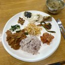 대산농촌재단 담양 청촌맛여행 8차(10.3~5), 가성비 귀촌 체험 솔직후기