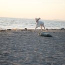 해랑방2 이미지