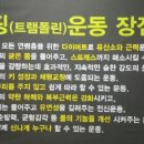 30분점핑운동 네이버블로그