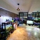 플랜츠비 이미지