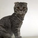 부영3차아파트 이미지